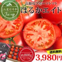 フルーツトマト はるかエイト 約800g 12〜15個 北海道 