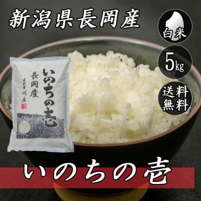 いのちの壱のおすすめ人気商品一覧 通販 - Yahoo!ショッピング