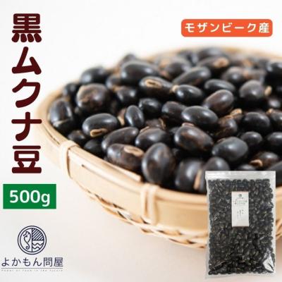 モザンビーク産 黒ムクナ豆 500g 【 送料無料 】残留農薬検査済 モザンビーク産 黒ムクナ豆 500g 【 送料無料 】残留農薬検査済