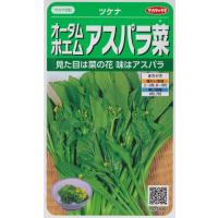 【ツケナ】オータムポエム【サカタのタネ】（1.7ml）野菜種[秋まき]923300 | Hana Uta 米沢園芸 Yahoo!店