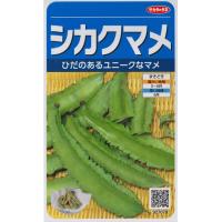 【シカクマメ】四角まめ 【サカタのタネ】（10ml）野菜種[春まき] 927078 | Hana Uta 米沢園芸 Yahoo!店