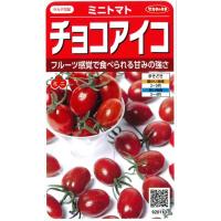 【ミニトマト】チョコアイコ【サカタ交配】 (13粒)春まき野菜種サカタのタネ920110 | Hana Uta 米沢園芸 Yahoo!店