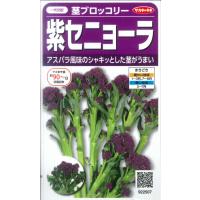 【茎ブロッコリー】紫セニョーラ【サカタのタネ】（20粒）野菜種[春まき][秋まき]922507 | Hana Uta 米沢園芸 Yahoo!店