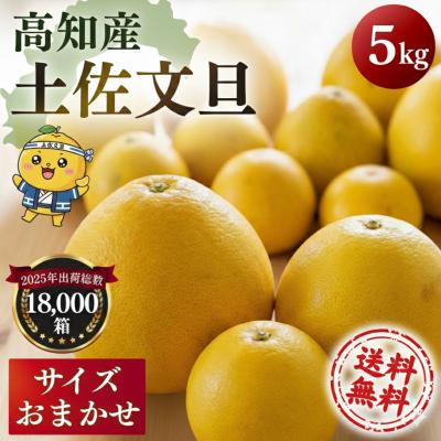 文旦 訳ありのおすすめ人気商品一覧 通販 - Yahoo!ショッピング