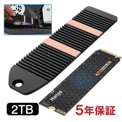 Hanye SSD 2TB PCIe Gen4x4（Hanye）のおすすめ人気商品一覧