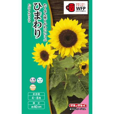 ミニひまわりの種の商品一覧 通販 - Yahoo!ショッピング