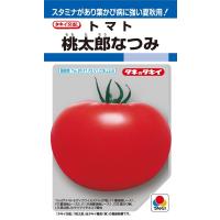 野菜の種/種子 ホーム桃太郎・トマト 1000粒（メール便発送/大袋 