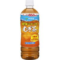 健康ミネラルむぎ茶 650ml×24本 ペットボトル 伊藤園  熱中症対策 | 養鼈園(ヨウベツエン)ヤフーショッピング店