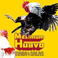 CD/ＩＮＡＢＡ／ＳＡＬＡＳ/Maximum Huavo (初回生産限定盤・CD+オリジナルTシャツ) | 遊ING畝刈店 ヤフーショップ
