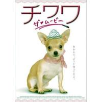 チワワ ザ・ムービー レンタル落ち 中古 DVD | 遊ING浜町店 ヤフーショップ