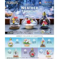 リーメント スヌーピー SNOOPY WEATHER terrarium ウェザーテラリウム BOX 全6種セットフルコンプリートセット | ユウセイ堂2号店 ヤフーショッピング店