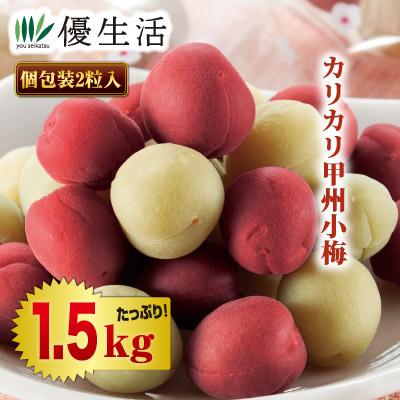 カリカリ甲州小梅のおすすめ人気商品一覧 通販 - Yahoo!ショッピング