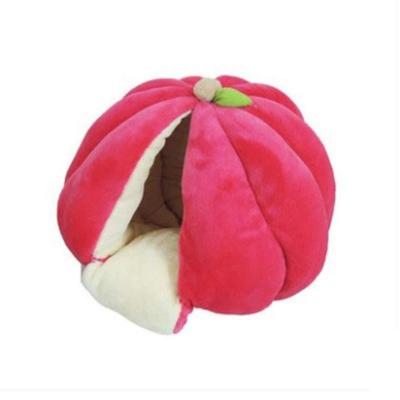 お値下げ！リンゴ型　ペットハウス 赤 お値下げ！リンゴ型 ペットハウス 赤 お値下げ！リンゴ型ペットハウス 赤