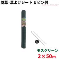 Uピン黒丸セット シンセイ モスグリーン 防草・草よけシート Uピン・黒丸セット 2m×50m 沖縄県配達不可 代引不可 北海道・九州地方別途送料 | ワイピードットコム