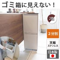 天板付き ダストボックス ステンレス製 横型2分別 9l ゴミ箱 分別 キッチン 収納 キッチンカウンター ごみ箱 おしゃれ ゴミ箱 スリム 2段 Adch0162 デザイン雑貨 家具 ワカバマート 通販 Yahoo ショッピング