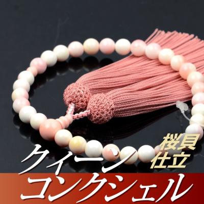 クィーンコンクシェルの商品一覧 通販 - Yahoo!ショッピング クィーンコンクシェルの商品一覧 通販 - Yahoo!ショッピング