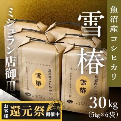魚沼産 コシヒカリ 30kgのおすすめ人気商品一覧 通販 - Yahoo!ショッピング
