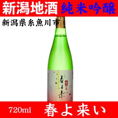 而今720ml（食品）のおすすめ人気商品一覧 通販 - Yahoo