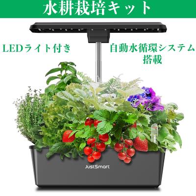 led水耕栽培キット akarina01 アカリーナ（種、種子） | 花