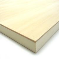 木製パネル シナベニヤパネル 木炭紙 (650×500mm) 厚み24mm | ゆめ画材