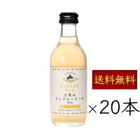 【送料無料 オーガニック生姜 使用】 土佐山新ジンジャーエール 辛口 20本 ケース｜Mサイズ 200ml 瓶 辛口 無添加 ?本格派 ジンジャーエール ジンジャエール | 土佐山マルシェ 産地直送