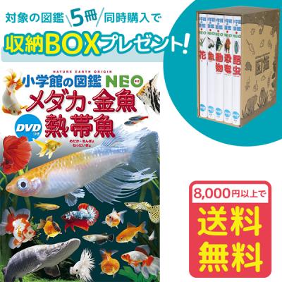 熱帯魚図鑑のおすすめ人気商品一覧 通販 - Yahoo!ショッピング