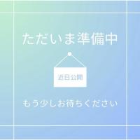 ソウルハッカーズ2 25thアニバーサリーエディション 【同梱物】ソウルハッカーズ 25thアニバーサリーミュージックアルバム(CD3枚組全30曲) | ユリとソラ