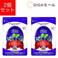 リフレ ブルーベリー＆ルテイン サプリメント 31粒 2袋セット | GIGAモール