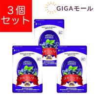 リフレ ブルーベリー＆ルテイン サプリメント 31粒 3袋セット | GIGAモール