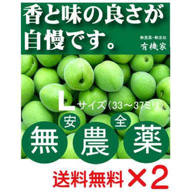 有機家ヤフー店 - 王隠堂農園の青梅｜Yahoo!ショッピング