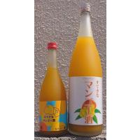 すてきなマンゴー酒 1800ml 麻原酒造 すてきなシリーズ | こだわりの酒屋遊銘館