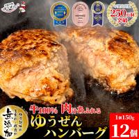 プロお墨付き 3冠受賞 ハンバーグ 冷凍 惣菜 冷凍 肉 牛肉 無添加 牛100％ ゆうぜんハンバーグ 150g×12個入 1.8kg メガ盛り グルメ 明和食品 爆買