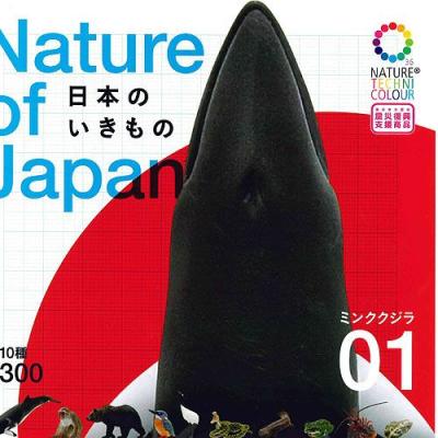 ネイチャーテクニカラー 日本の清流 増補特装版のおすすめ人気
