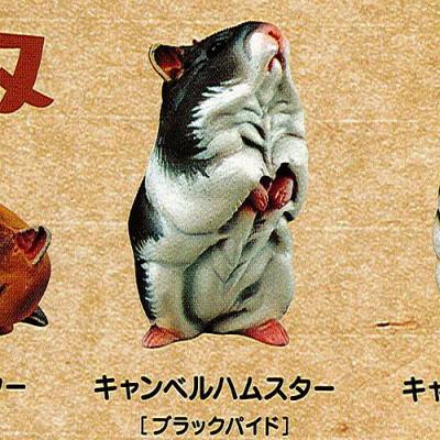 (未使用･未開封品)カプセルCLASSICA ハムスターズランチ[ひま種]　復刻版 ［12.クロハラハムスター］(単品) Amazon.co.jp: カプセルCLASSICA ハムスターズランチ ひま種 復刻版 全
