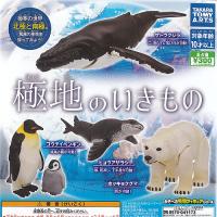 極地 の いきもの 全4種セット タカラトミーアーツ ガチャポン ガチャガチャ ガシャポン | 遊you