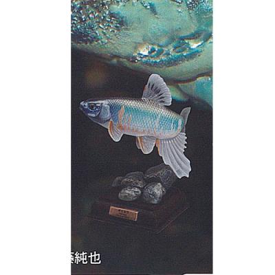 ネイチャーテクニカラー 日本の清流 増補特装版のおすすめ人気