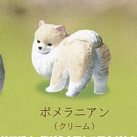ふり向けば 君が 犬 歩み 3：ポメラニアン クリーム エール ガチャポン ガチャガチャ ガシャポン | 遊you