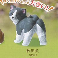 ふり向けば 君が 犬 歩み 6：秋田犬 虎毛 エール ガチャポン ガチャガチャ ガシャポン | 遊you