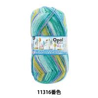 ソックヤーン 毛糸 『クレイジーウォーターズ 4ply 11316番色』 Opal オパール | ユザワヤ