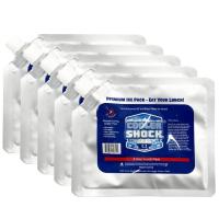 クーラーショック 保冷剤 5個セット Sサイズ 繰り返し使用可 | わいわいe-shop