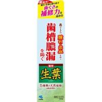 生葉d 100g 小林製薬 歯磨き粉 ハミガキ オーラルケア | ワイワイショップ