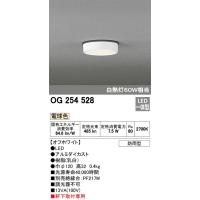 オーデリック LEDエクステリア　白熱灯６０Ｗ相当　薄型軒下灯　OG254528　メーカー直送最短発送　期間限定SALE | 電器と雑貨のマスコット