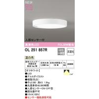 オーデリック  LED小型シーリングライト  FCL30Ｗ相当　人感センサーON・OFF型  昼白色  OL251857R　期間限定SALE・メーカー直送　 | 電器と雑貨のマスコット