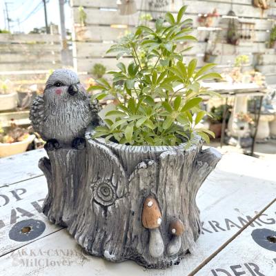 azi-azi 鉢、プランターカバー｜園芸用品｜花、ガーデニング 通販
