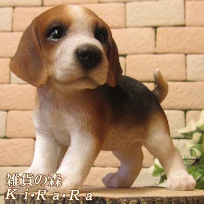 ☆びーぐる犬☆ さま専用 ☆びーぐる犬☆ さま専用 ☆びーぐる犬☆ さま専用