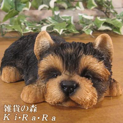 雑貨の森 Ki・Ra・Ra Yahoo!店 - 犬種別｜Yahoo!ショッピング