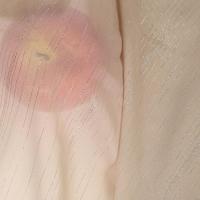 シルバーライン シフォン 生地 2mx幅150cm カラー 無地 手芸 布 薄手( ベージュ) | ゼブランドショップ
