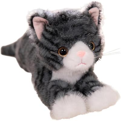 キジトラ猫（ぬいぐるみ）｜おもちゃ | ゲーム、おもちゃ の商品一覧