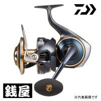 DAIWA（ダイワ） 25 ソルティガ 25000-P 送料無料 : つり具の銭屋
