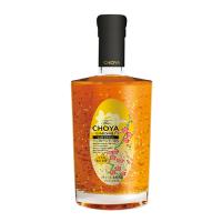 チョーヤ梅酒 Gold Edition 500ml×6本 1ケース u-yu | 酒のZenjinヤフーショッピング店